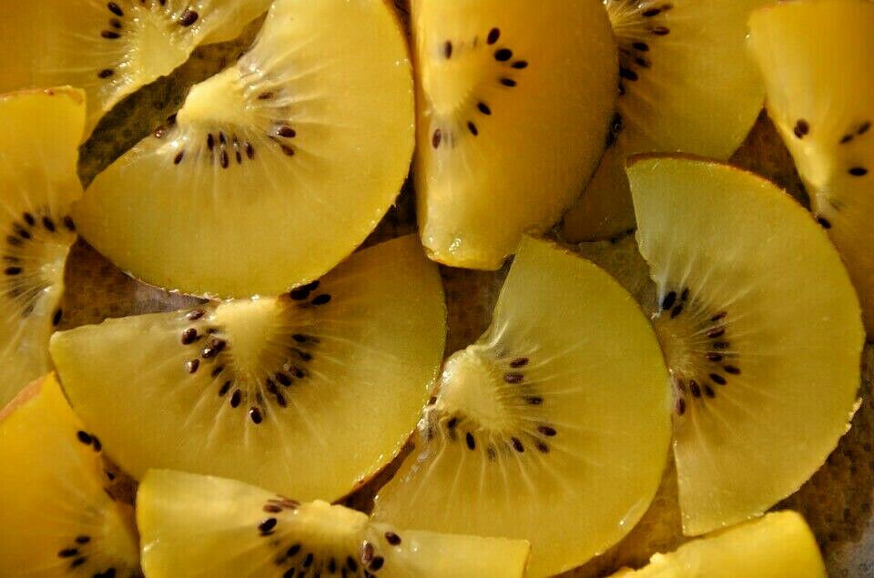 Jammas5 50 GOLDEN KIWI FRUIT Yellow Actinidia Chinensis Kiwifruit Gooseberry Vine Seeds