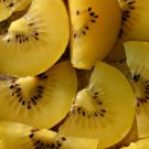 Jammas5 50 GOLDEN KIWI FRUIT Yellow Actinidia Chinensis Kiwifruit Gooseberry Vine Seeds