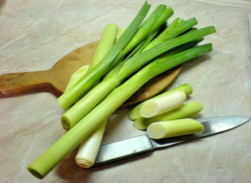 Jammas5 1 Oz - 1 Lb Bulk LEEK SEEDS Large American Flag aka Broad London Allium Porrum