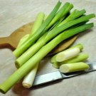 Jammas5 1 Oz - 1 Lb Bulk LEEK SEEDS Large American Flag aka Broad London Allium Porrum