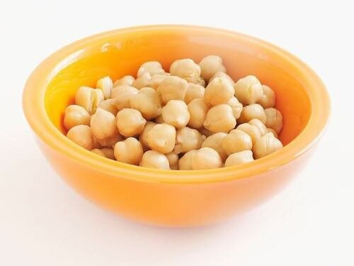 Jammas5 15 CHICK PEA / GARBANZO BEAN Chickpea Cicer Arientum Vegetable Seeds *Comb S/H