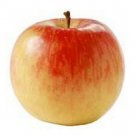 Jammas5 10 FUJI APPLE TREE Malus Domestica Fruit Flower Seeds
