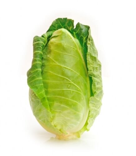 Jammas5 300 CHARLESTON WAKEFIELD CABBAGE Heirloom Cone Brassica Oleracea Vegetable Seeds