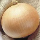 Jammas5 250 SWEET WALLA WALLA ONION Allium Cepa Vegetable Seeds + Gift & Comb S/H