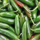 Jammas5 400 EARLY JALAPENO PEPPER Green Medium Hot Capsicum Annuum Vegetable Seeds +Gift
