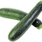 Jammas5 50 BLACK BEAUTY ZUCCHINI SUMMER SQUASH Cucurbita Pepo Vegetable Seeds *Comb S/H