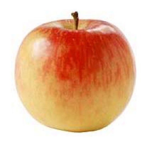 Jammas5 10 FUJI APPLE TREE Malus Domestica Fruit Flower Seeds