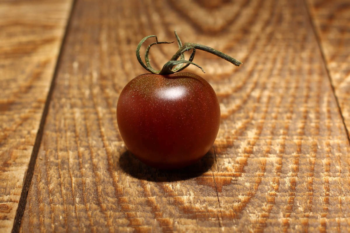 Jammas5 50 BLACK CHERRY TOMATO Black Skin Sweet Round Lycopersicon Fruit Vegetable Seeds