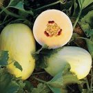 Jammas5 30 CRENSHAW MELON Muskmelon Cranshaw Cucumis Melo Fruit Seeds + Gift & Comb S/H