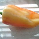 Jammas5 50 GIANT SZEGEDI PEPPER Capsicum Annuum Hungarian Sweet White Orange Red Seeds