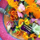 Jammas5 EDIBLE FLOWER MIX Seeds 16 Types Marigold Daisy Viola Safflower Alyssum Hyssop +