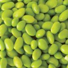 Jammas5 20 Edamame Green ENVY SOYBEAN Glycine Max Soy Bean Vegetable Seeds *Combined S/H