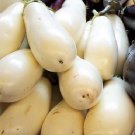 Jammas5 50 CASPER WHITE EGGPLANT Solanum Melongena Fruit / Vegetable Seeds *Combined S/H