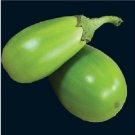 Jammas5 25 APPLEGREEN EGGPLANT Green Fruit / Vegetable Solanum Melongena Seeds *Comb S/H