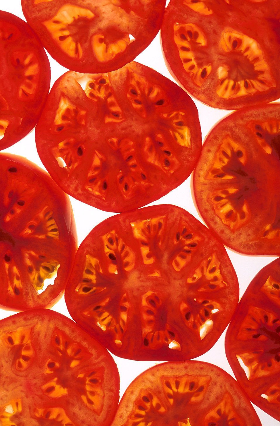 Jammas5 200 Red RUTGERS TOMATO Lycopersicon Globe Determinate 8 oz Fruit Vegetable Seeds