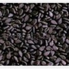 Jammas5 1500 BLACK SESAME Sesamum Indicum Vegetable Flower Seeds + Gift & Comb S/H
