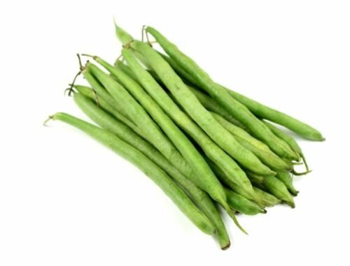 Jammas5 50 BURPEE STRINGLESS GREEN POD BEAN French Phaseolus Vulgaris Vegetable Seeds
