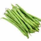 Jammas5 50 BURPEE STRINGLESS GREEN POD BEAN French Phaseolus Vulgaris Vegetable Seeds