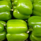 Jammas5 200 BIG GREEN BELL PEPPER Sweet Capsicum Annuum Vegetable Seeds *Combined Ship