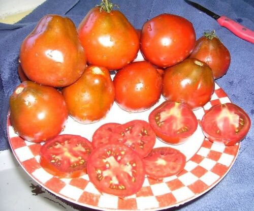 Jammas5 100 RED PEAR TOMATO Lycopersicon Heirloom Indeterminate Fruit Vegetable Seeds