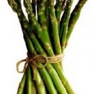 Jammas5 100 HEIRLOOM ASPARAGUS Officinallis Perennial Green Mary Washington Seeds