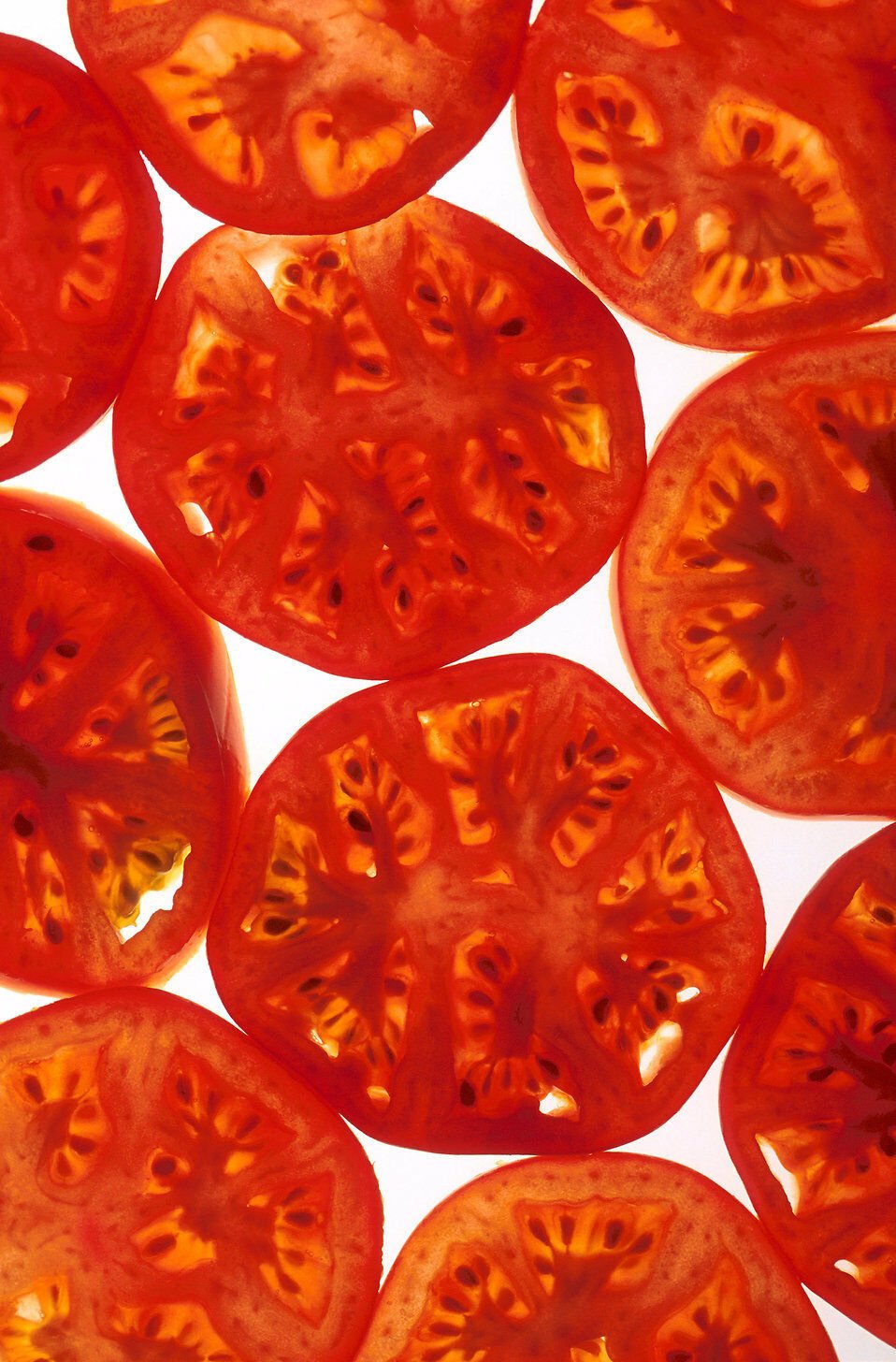 Jammas5 200 Red RUTGERS TOMATO Lycopersicon Globe Determinate 8 oz Fruit Vegetable Seeds