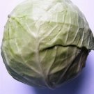 Jammas5 500 COPENHAGEN MARKET EARLY CABBAGE Heirloom Brassica Oleracea Vegetable Seeds