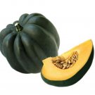 Jammas5 50 TABLE KING ACORN SQUASH Winter or Summer Cucurbita Maxima Vegetable Seeds