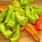 Jammas5 200 HEIRLOOM BANANA PEPPER Sweet Yellow Capsicum Annuum Vegetable Seeds *Comb SH