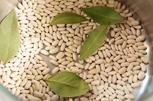 Jammas5 30 CANNELLINI BEAN Seeds White Italian Kidney Phaseolus Vulgaris Vegetable