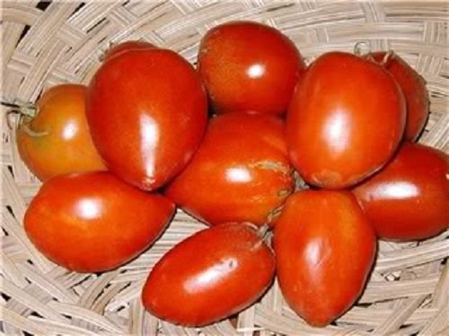 Jammas5 50 AMISH PASTE TOMATO Red Heirloom Roma Type Lycopersicon Fruit Vegetable Seeds