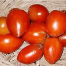 Jammas5 50 AMISH PASTE TOMATO Red Heirloom Roma Type Lycopersicon Fruit Vegetable Seeds