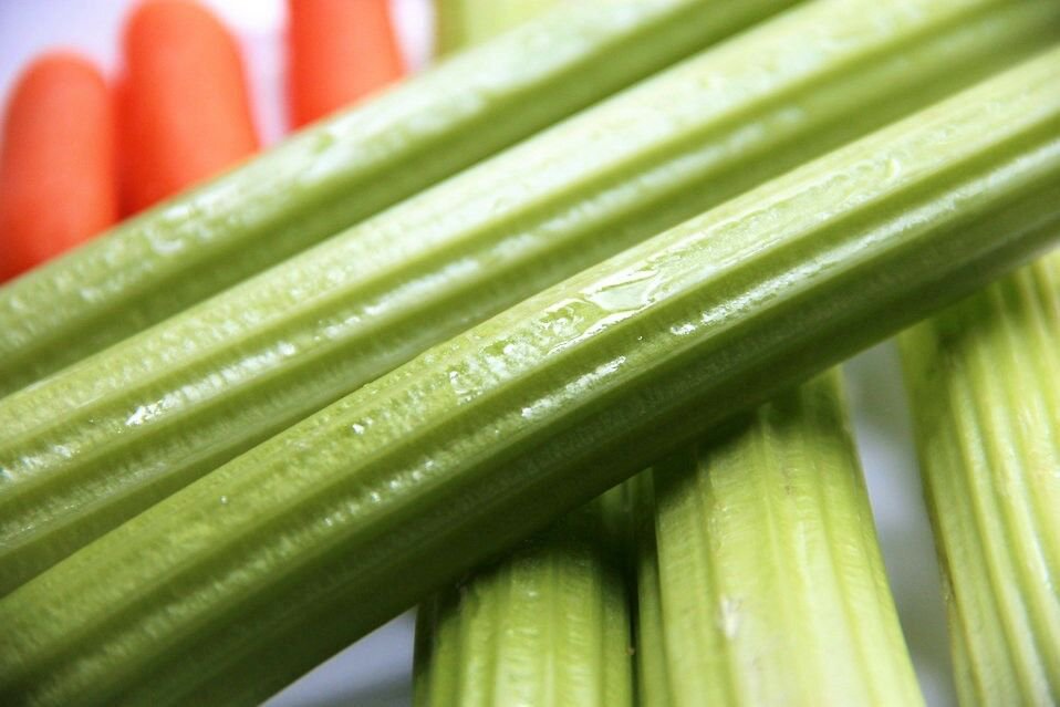 Jammas5 1000 TENDERCRISP CELERY Stalks & Leaves Apium Graveolens Vegetable Seeds