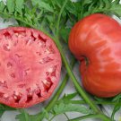 Mortgage Lifter Tomato 100+ Seeds Heirloom Organic NON GMO