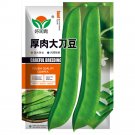 JMS Thick-Fleshed Sword Bean Seeds