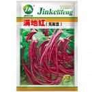JMS Mandihong Purple Yardlong Bean Seeds (No Trellis Required)