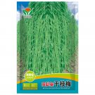 JMS Ganzhimei Yardlong Bean Seeds