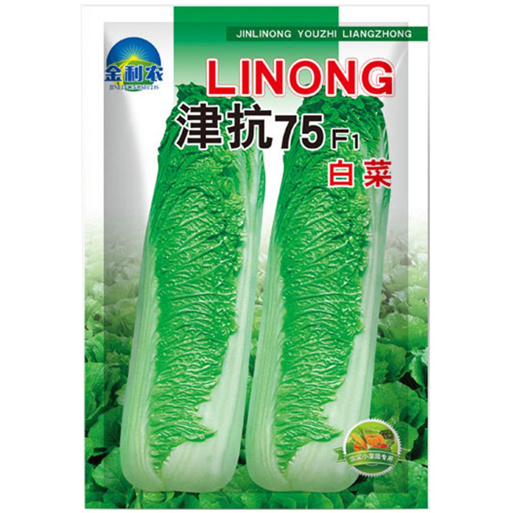 JMS Jinkang 75 Chinese Cabbage Seeds