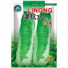 JMS Jinkang 75 Chinese Cabbage Seeds