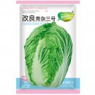 JMS Improved Qingza No.3 Chinese Cabbage Seeds