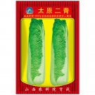 JMS Taiyuan Erqing Chinese Cabbage Seeds