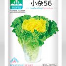 JMS 'Xiao Za 56' Fast-Growing Yellow Heart Chinese Cabbage, Ideal For Dense Planting, Heat-Resistant