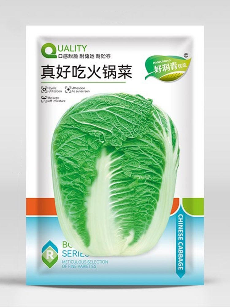 JMS Premium Winter Cabbage Seeds - 85-Day Growth, Disease-Resistant, Short Cylindrical Leaf Balls, I