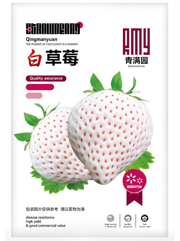 JMS Cream White Strawberry Seeds &acirc;�� Year-Round Container Variety For Indoor & Outdoor Growing