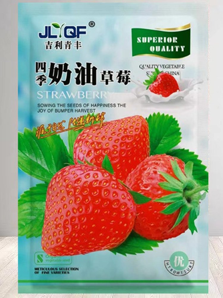 JMS Four Seasons Cream Large Strawberry Seeds &acirc;�� Premium Non-Gmo Strawberry Variety For Year-Round 