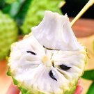 JMS  Soursop
