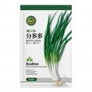JMS  Cutting-Edge Cultivar Scallion Seeds