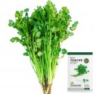 JMS  Fast-Growing Coriander Seeds