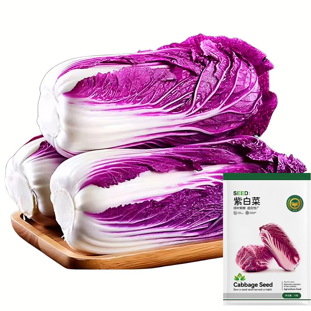 JMS  Red Napa Cabbage Seeds
