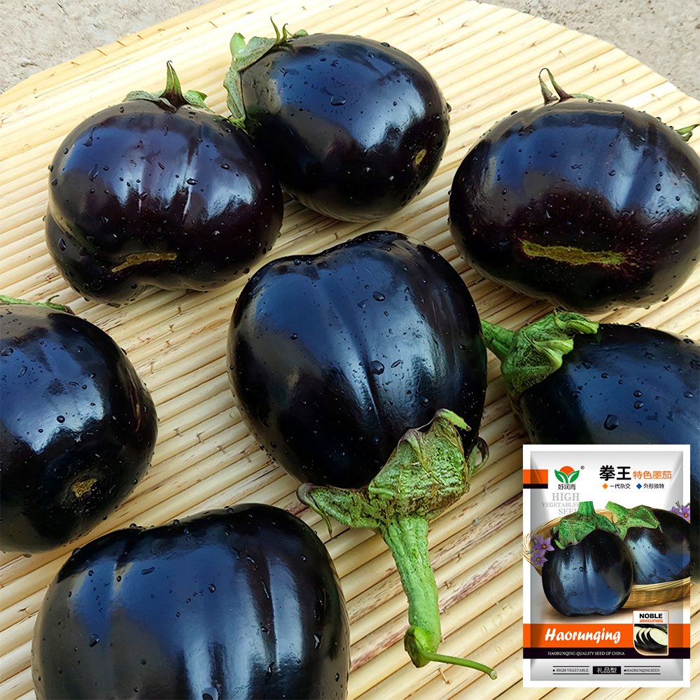 JMS Black Beauty Eggplant Seeds